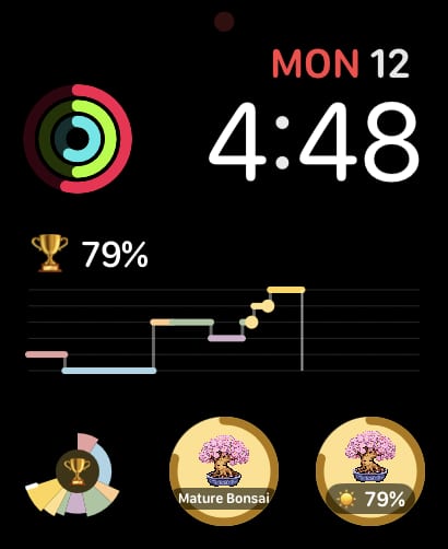 Apple Watch Modular face with a Besti Day graph and two round WatchieBesti complications