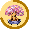 Bonsai, Adult, Classic look, Happy
