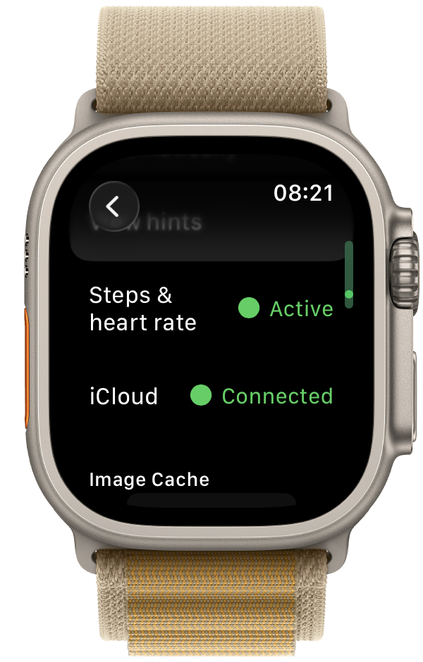 WatchieBesti diagnostics screen on Apple Watch showing Steps & heart rate: Active and iCloud: Connected
