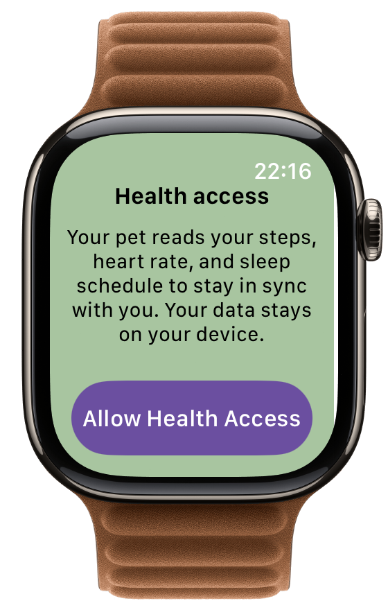 Health access prompt — Allow Health Access