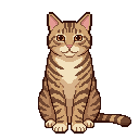 Pixel art Cat Cat in Tabby