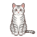 Pixel art Cat Cat in White
