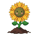 Pixel art adult sunflower pet from the Plants kingdom