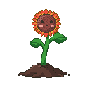 Pixel art Tall Sunflower Sunflower in Red