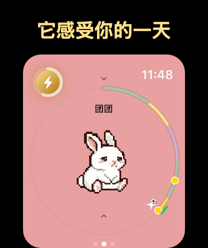 Apple Watch 上的宠物心情环